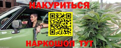 индика Берёзовский
