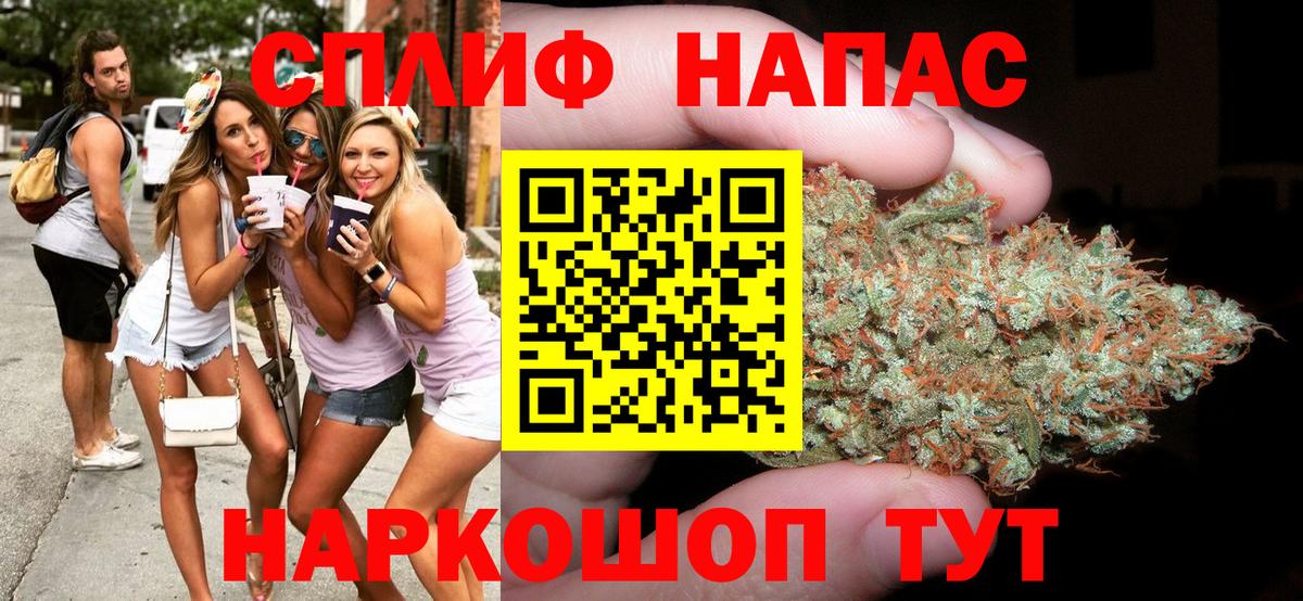 Конопля ГИДРОПОН Будённовск